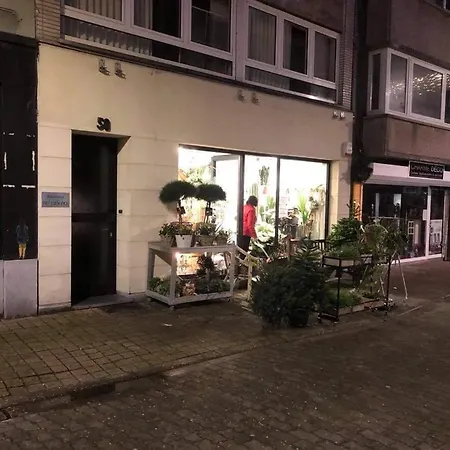 公寓 Gelegen Gezellig Met Groot Terras 奥斯滕德