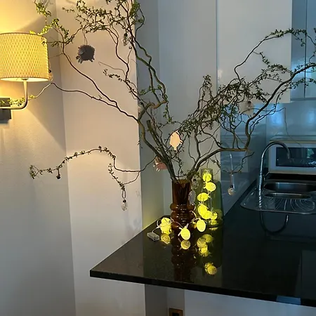 Apartamento Gelegen Gezellig Met Groot Terras Ostend