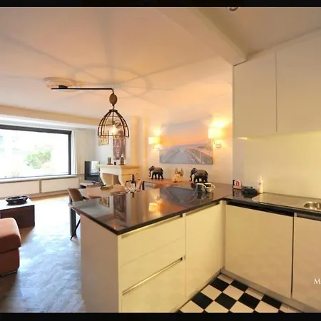 Gelegen Gezellig Met Groot Terras *