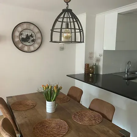 公寓 Gelegen Gezellig Met Groot Terras 奥斯滕德