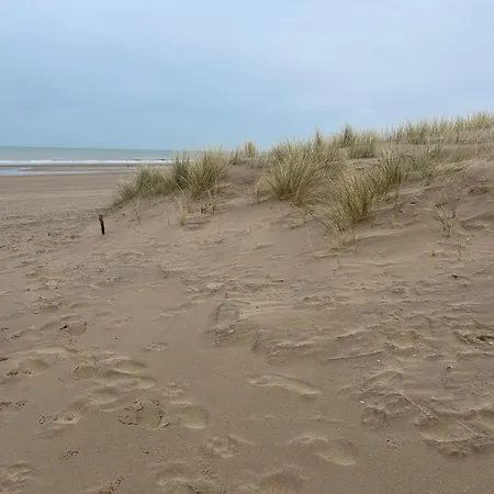 Gelegen Gezellig Met Groot Terras